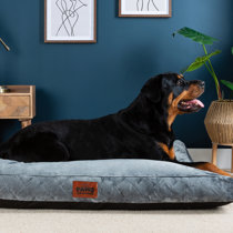 Wayfair extra best sale large dog beds